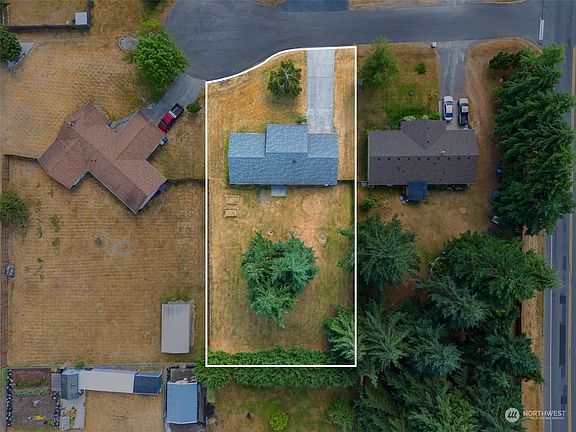 huge lot w/ nice trees>