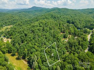 4 Roys Ln, Black Mountain, NC 28711
