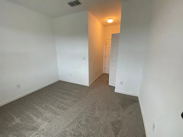 2217 Sedge Grass Way — Photo 16