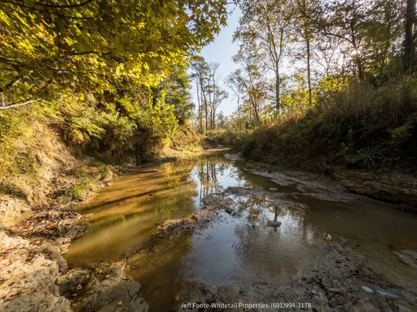 Rodney Rd, Pt Gibson, MS 39150