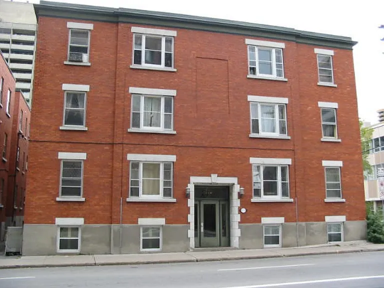 414 Albert St #7 — Photo 6