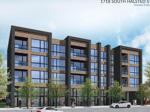 1718 S Halsted St #302