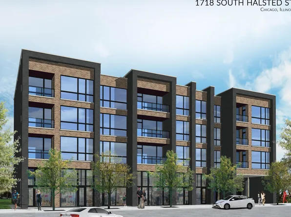1718 S Halsted St #302, Chicago, IL 60608