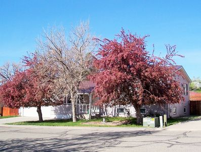 112 Susan Kay Ave, Thermopolis, WY, 82443