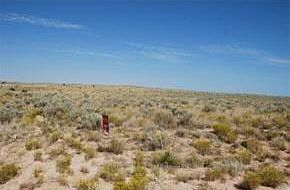 5th image of 3011 Terrene Rd NE