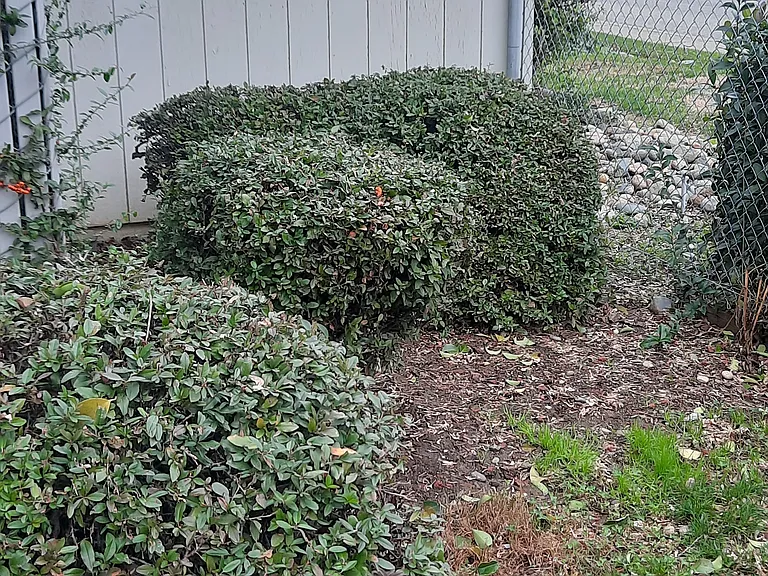 Heather Glen — Photo 10