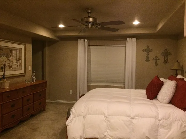 Basement Master Bedroom