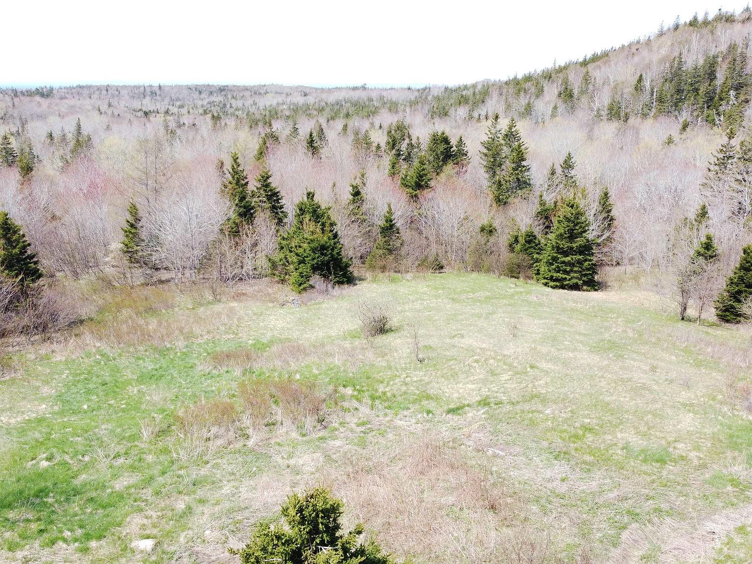 LOT 1 River Denys Mountain Rd 1, Inverness, NS B0E 3L0 MLS