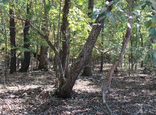 0 Lakeshore Rd LOT 8, Protem, MO 65733