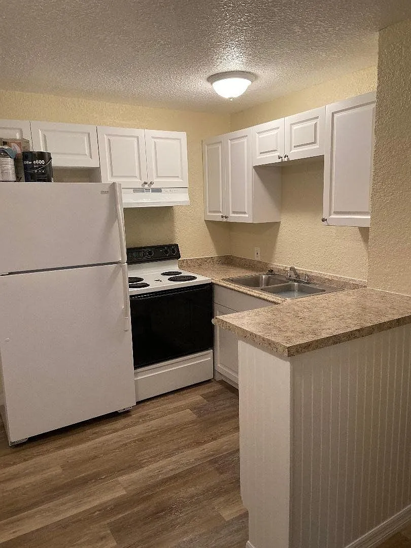Price Reduced - Beautifully Renovated 3-Bedroom Home For Rent In St. Petersburg — Photo 4