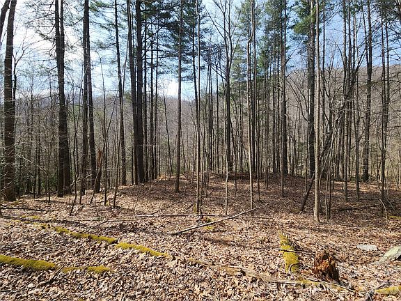 2nd image of 9999 Burnette Reeves Rd