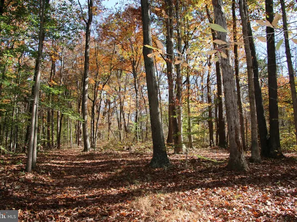 Tree Farm Ln, Bentonville, VA 22610