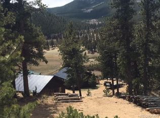 5571 County Road 43, Bailey, CO 80421