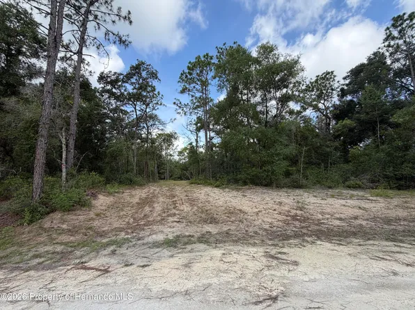 0 Idlewood Dr, Webster, FL 33597
