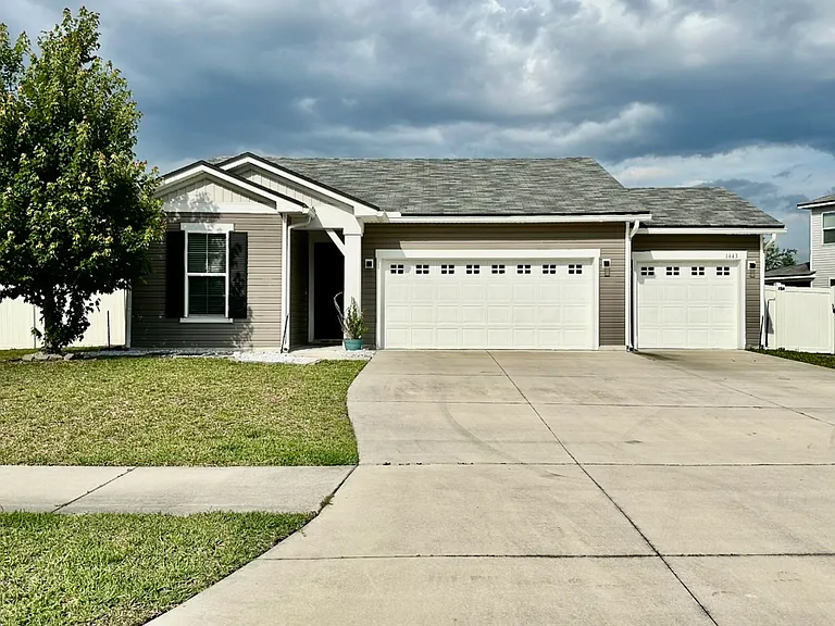 1443 Tropical Pine Cv — Photo 1