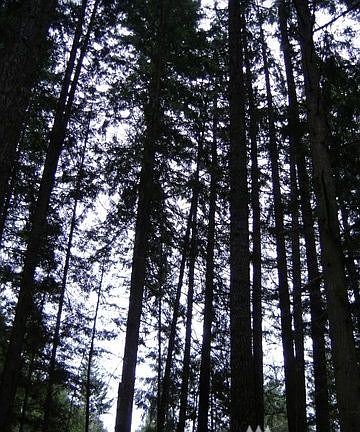 5th image of 7460 Glacier Springs Dr