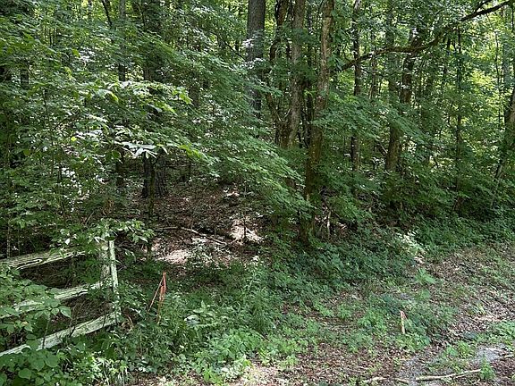 2nd image of 5 & 6 County Road 783