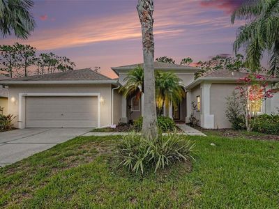 12516 LEATHERLEAF DRIVE, Tampa, FL, 33626