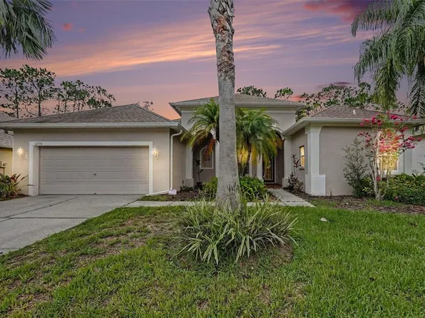 12516 LEATHERLEAF DRIVE, TAMPA, FL 33626