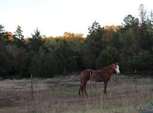 Davidson Rd, Diana, TX 75640