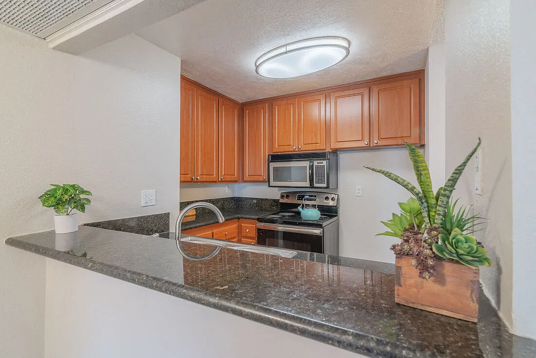 City View Apartments at Warner Park — Photo 1