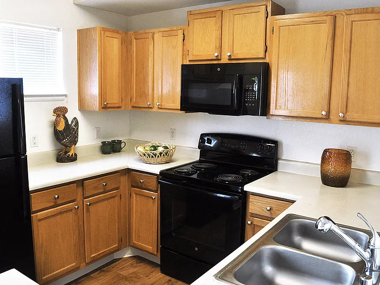 Microwave and Dishwasher Included