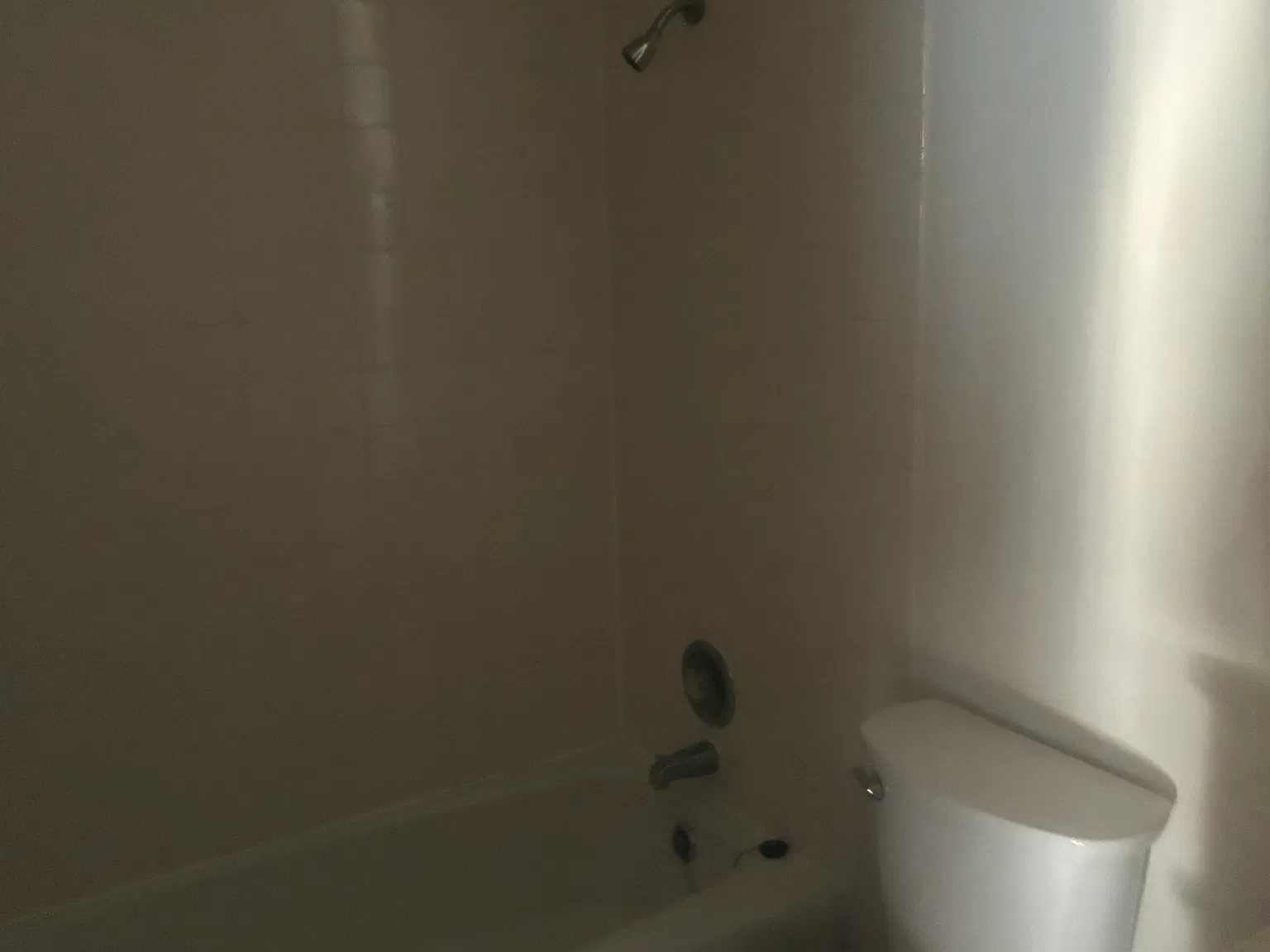 1 bed, 700 sqft, $1,430 — Photo 2
