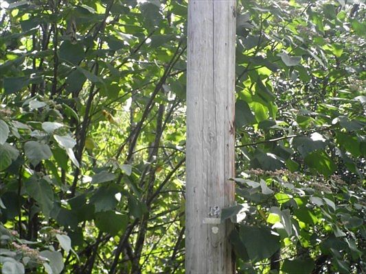 4th image of Kamoamoa St Lot 251