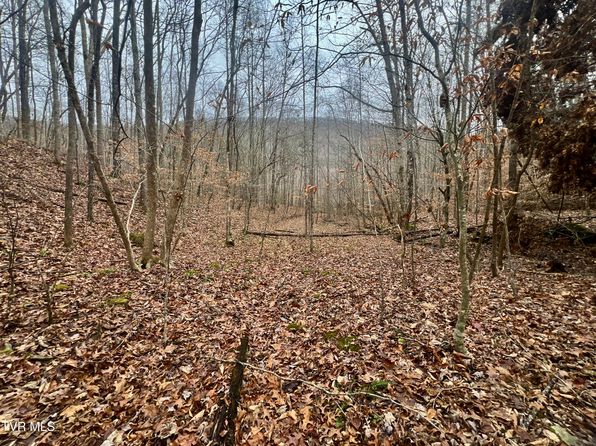 274/AC Snake Hollow Rd, Sneedville, TN 37869
