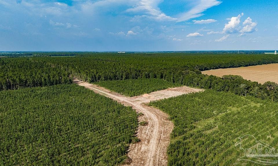 1st image of LOT 94 Posie Forest Rd