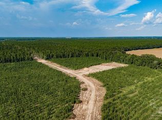 LOT 94 Posie Forest Rd, Milton, FL 32570