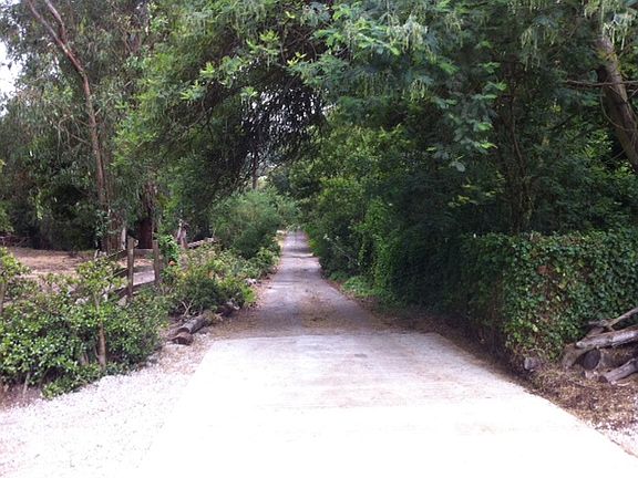 Drive leading to lot