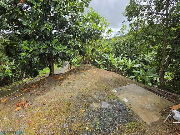 4th image of State Highway 9920 Quebrada Arenas Km #1.4