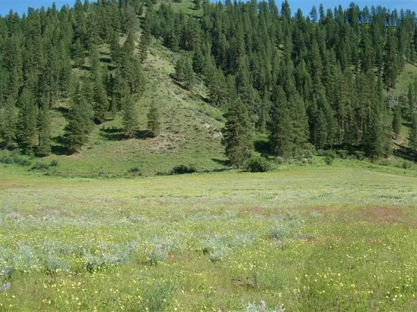 5 Payette Crk, Garden Valley, ID 83622