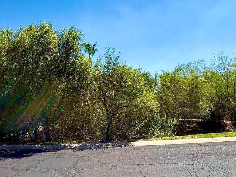 View of across the street from the home. No neighbors - just greenery!