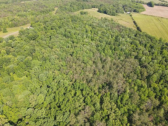 2nd image of 1 Carter Rd