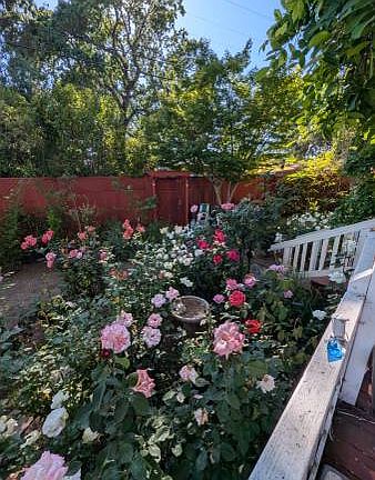 4th image of 18440 Lucas Ave