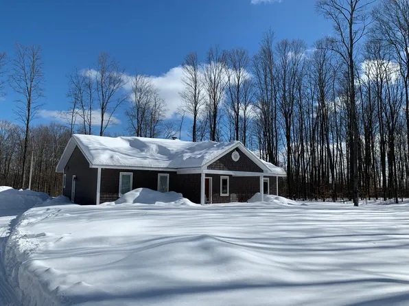 11803 Dunham Rd, Vanderbilt, MI 49795