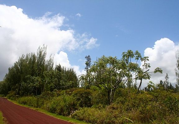2nd image of 4th Ave Lot 1354