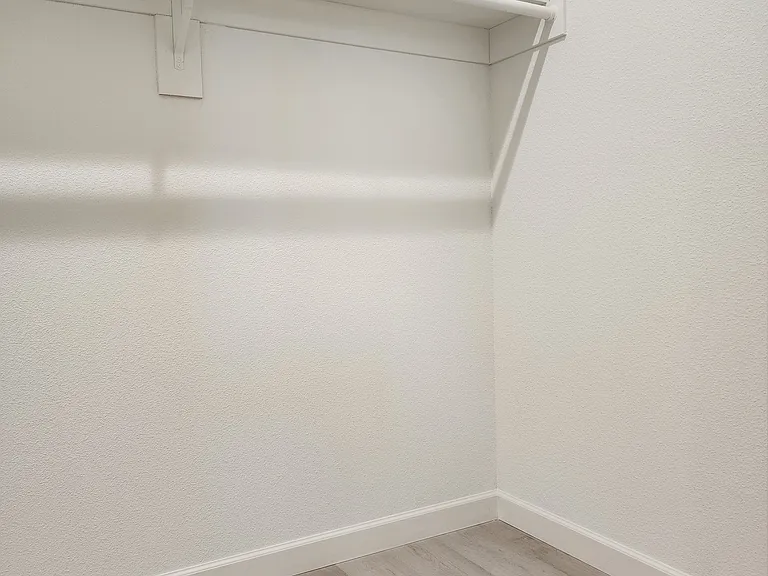 Primary Walk-in Closet