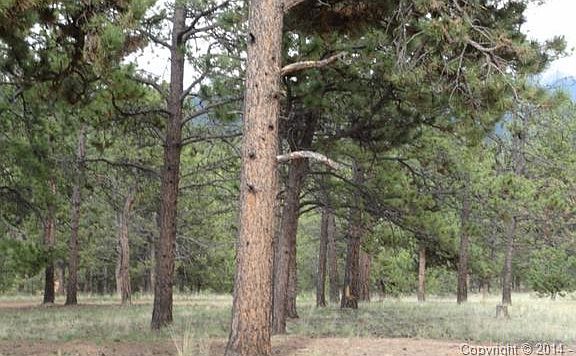 5th image of 73 Black Mesa Cir