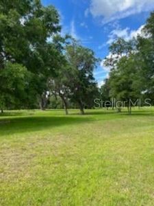 0 NW 143rd Avenue Rd LOT 8, Morriston, FL, 32668