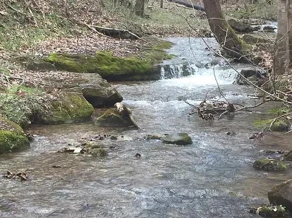 0 Old Hwy 31e, Westmoreland, TN 37186