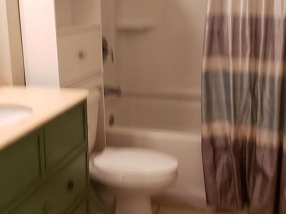 3rd image of 227 Palmetto Ln APT 30