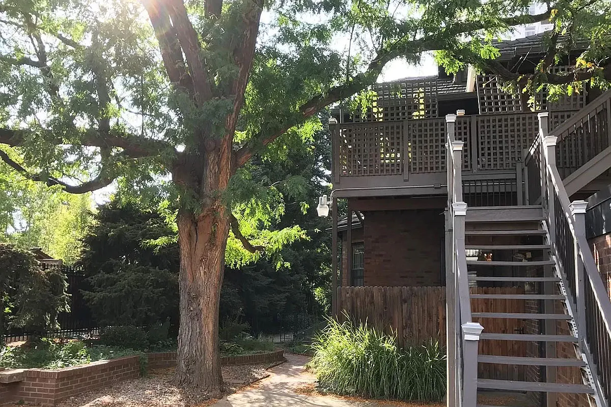 Home Exterior - 1060 N Race St #BASEMENT