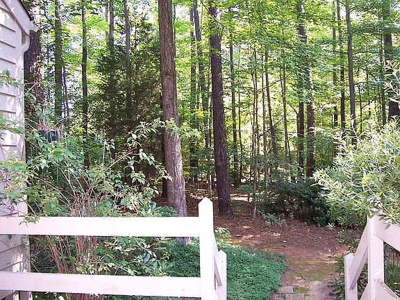 View from the deck of the wooded setting