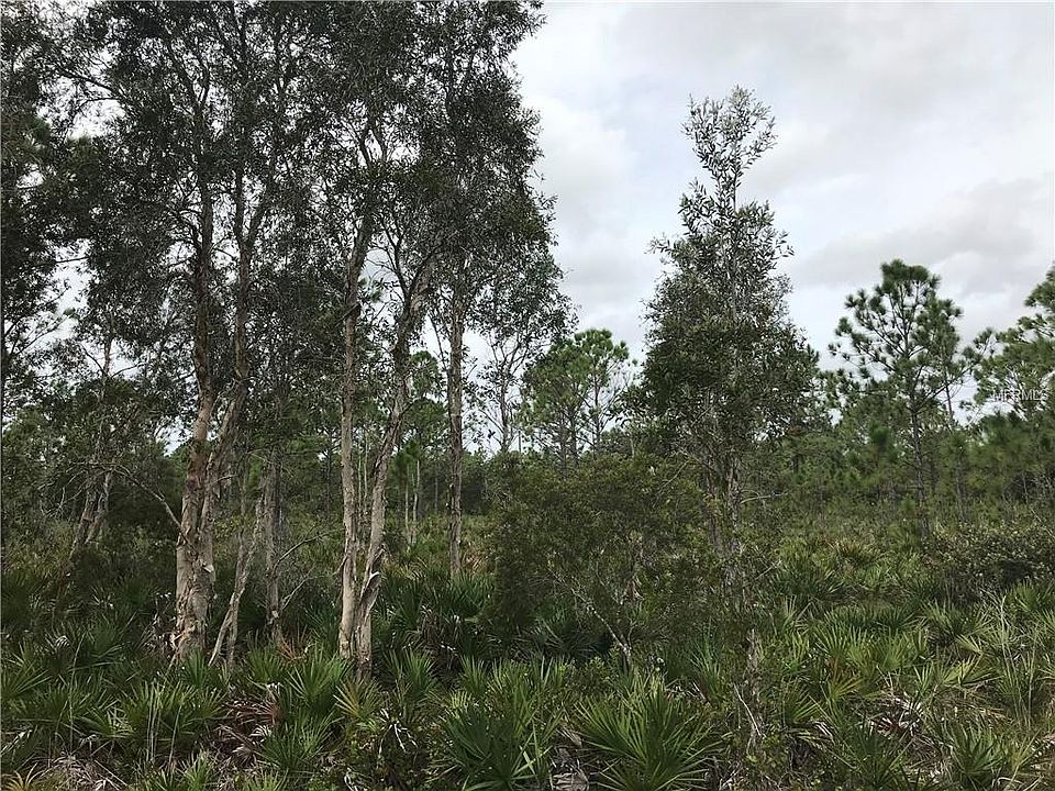 1st image of 12299 Camphor Dr
