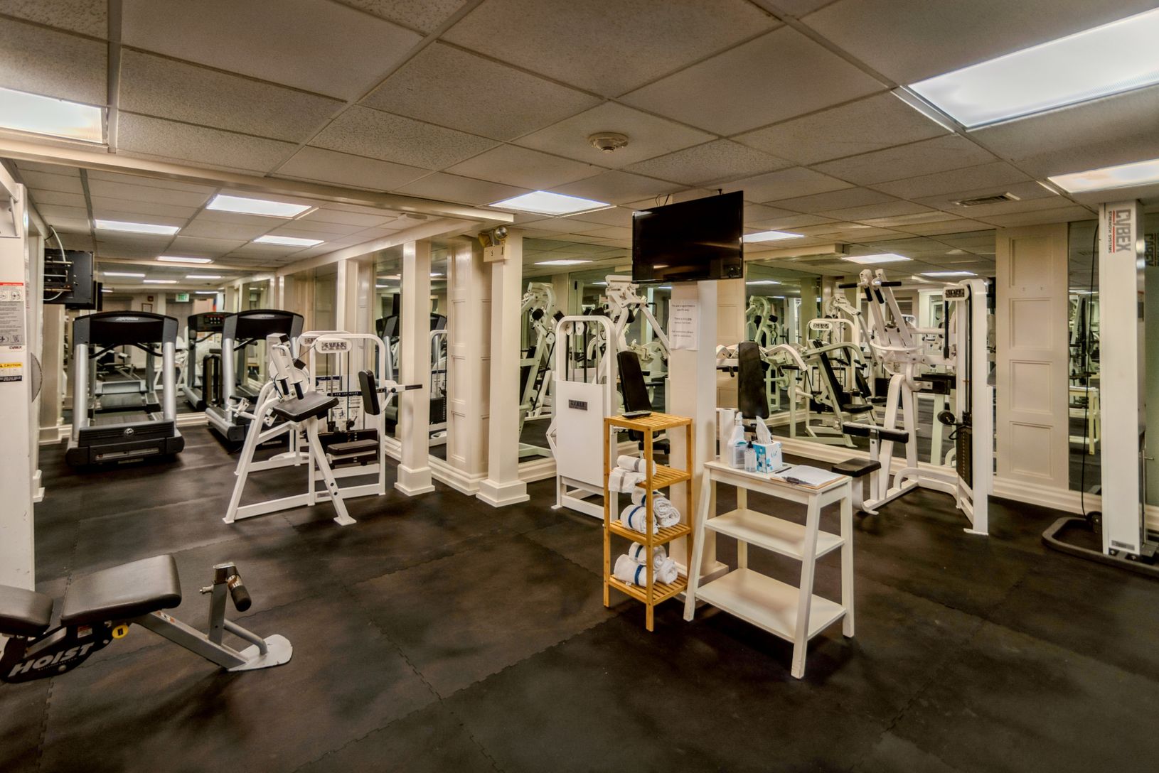  GYM