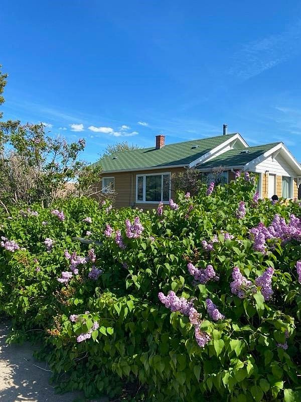 904 Cedar Ave, Shelby, MT 59474 Zillow