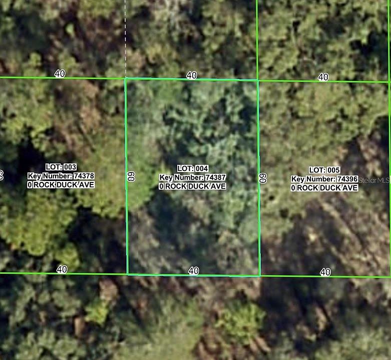2nd image of ROCK DUCK AVENUE LOT 4